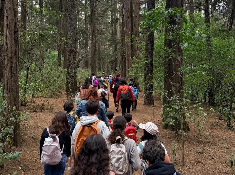 Grupo de Tribu caminando en fila por un sendero del bosque de pinos, de espaldas