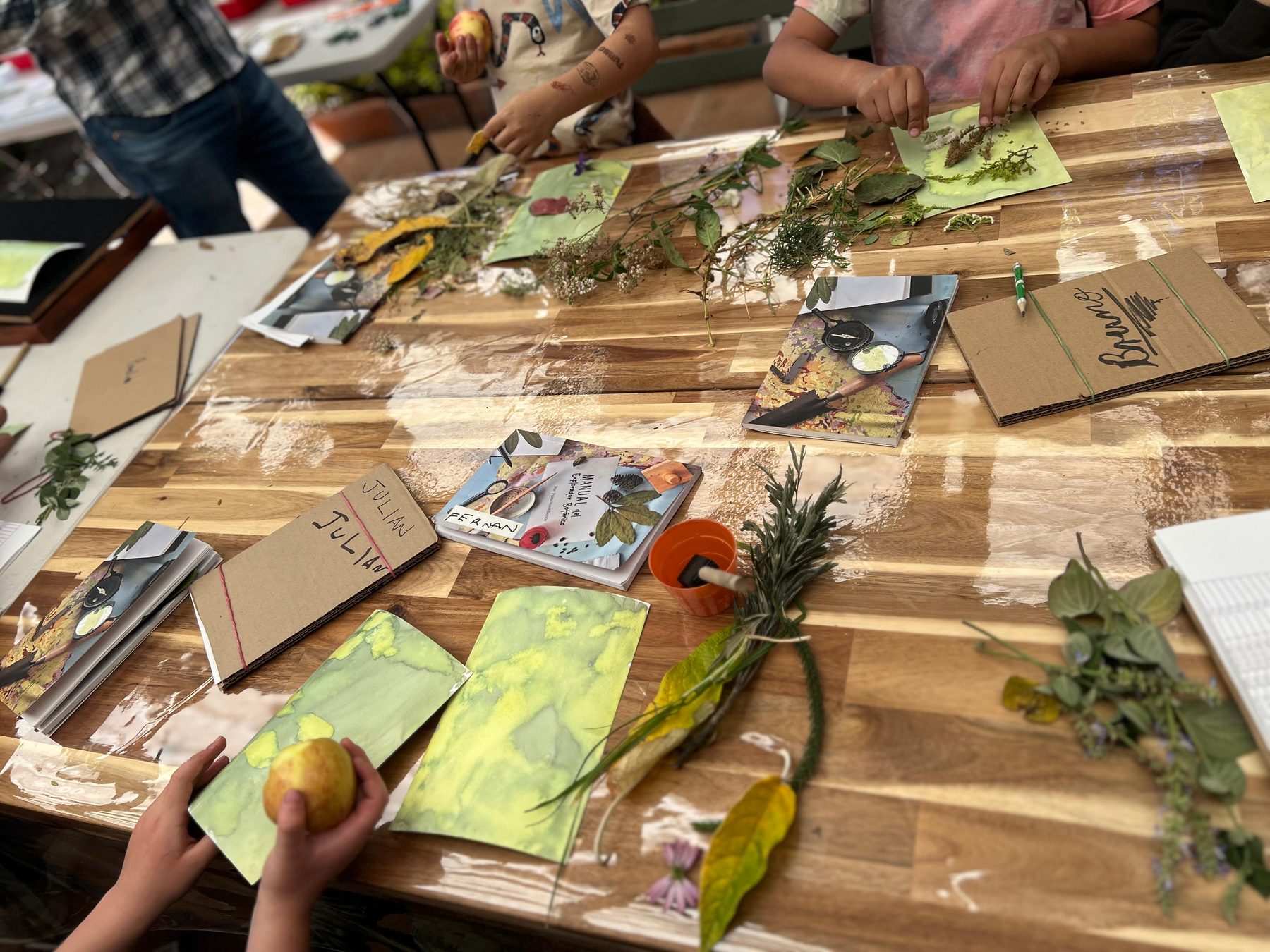 Mesa de madera con hojas, plantas y láminas de cianotipia, manos trabajando, en una Experiencia de Tribu