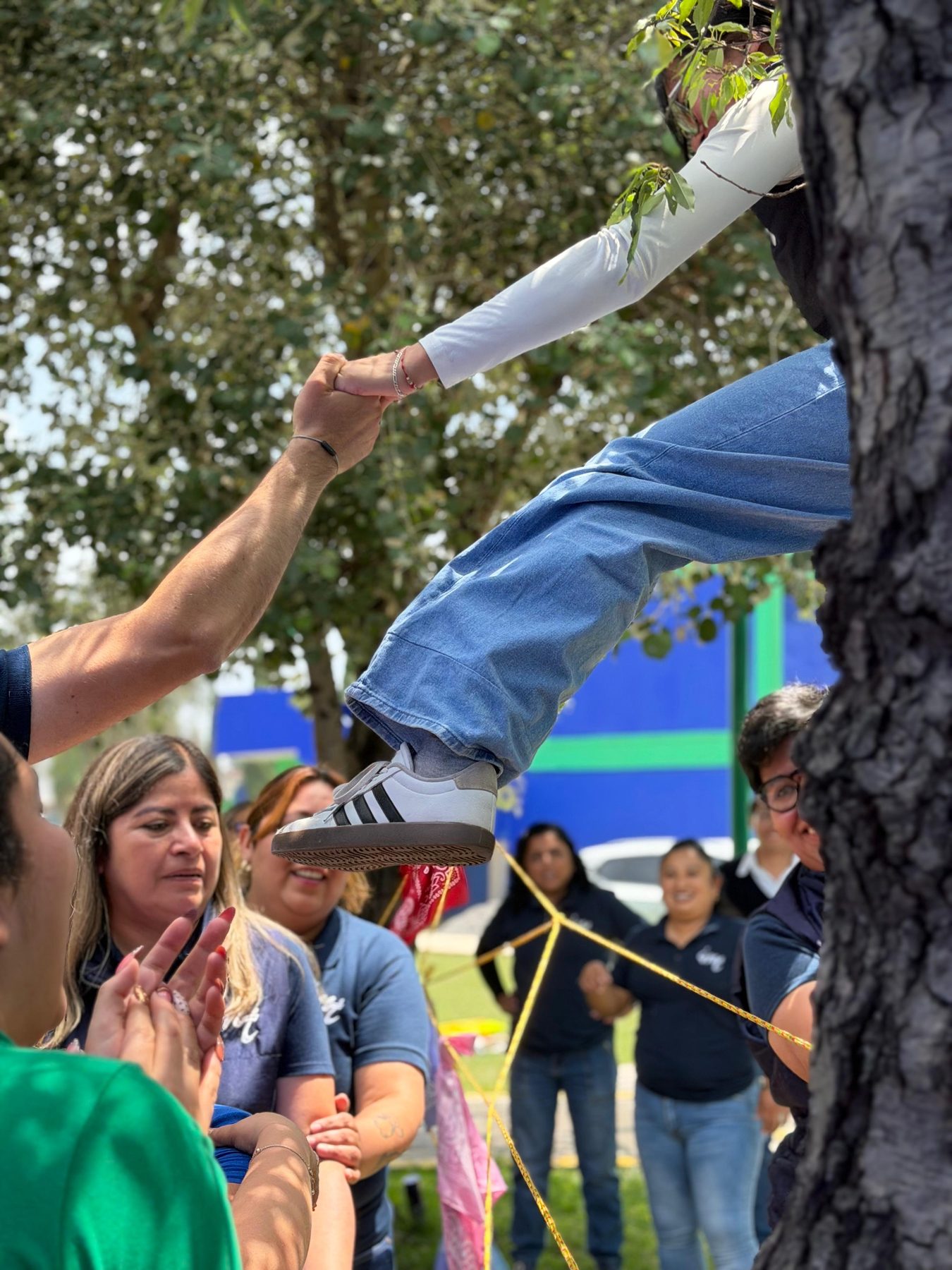 Manos de adultos alzadas sosteniendo una cuerda, en una dinámica de Team Building de Tribu